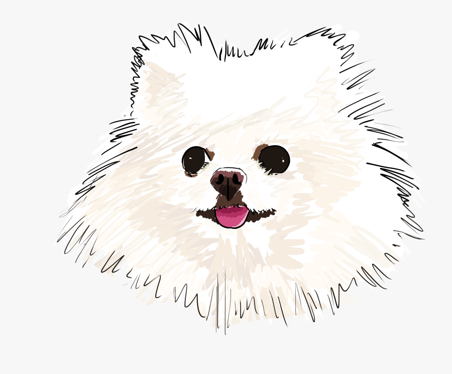 Why Are You - Pomeranian, Transparent Clipart