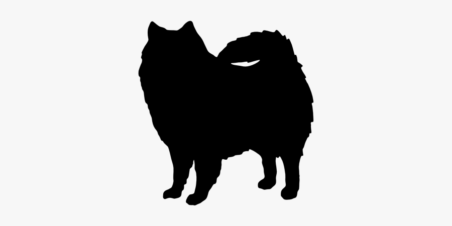 American Eskimo Dog Silhouette, Transparent Clipart