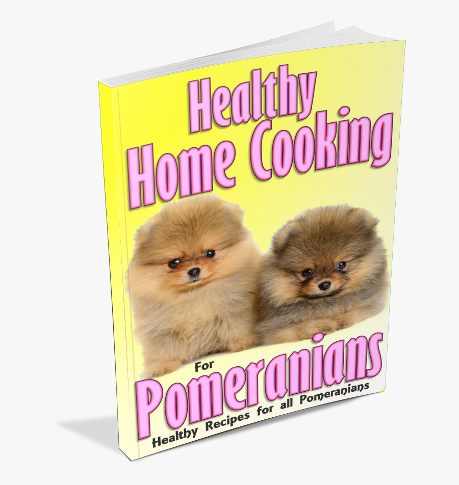 Pomeranian, Transparent Clipart