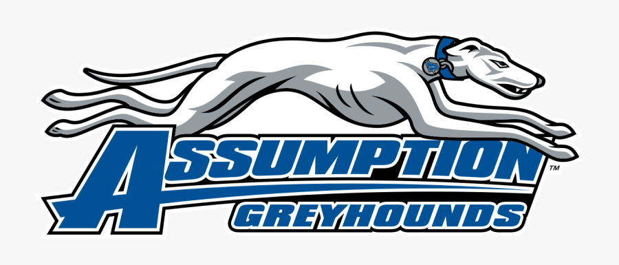 Assumption College Greyhounds, Transparent Clipart