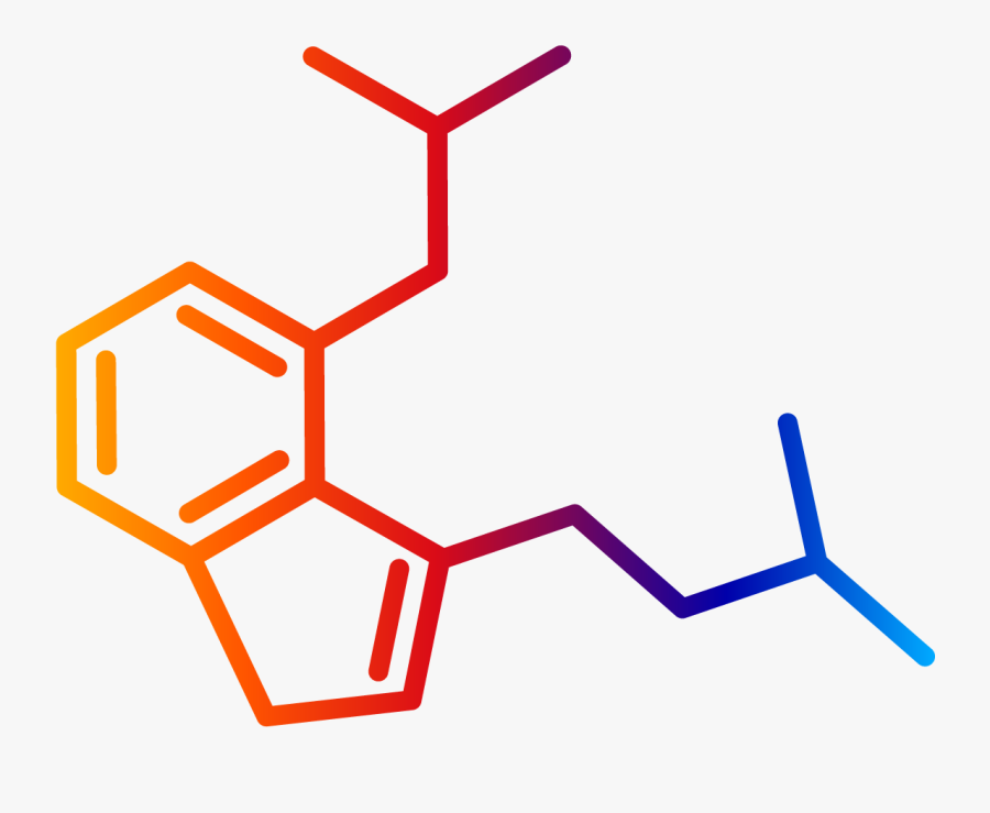 The Ultimate Guide To 4 Aco Dmt - Amino Acid Structure Png, Transparent Clipart