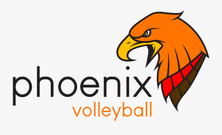 Phoenix Volleyball Is Excited To Announce That Registration - Phoenix Pharmacy Benefits Management, Transparent Clipart