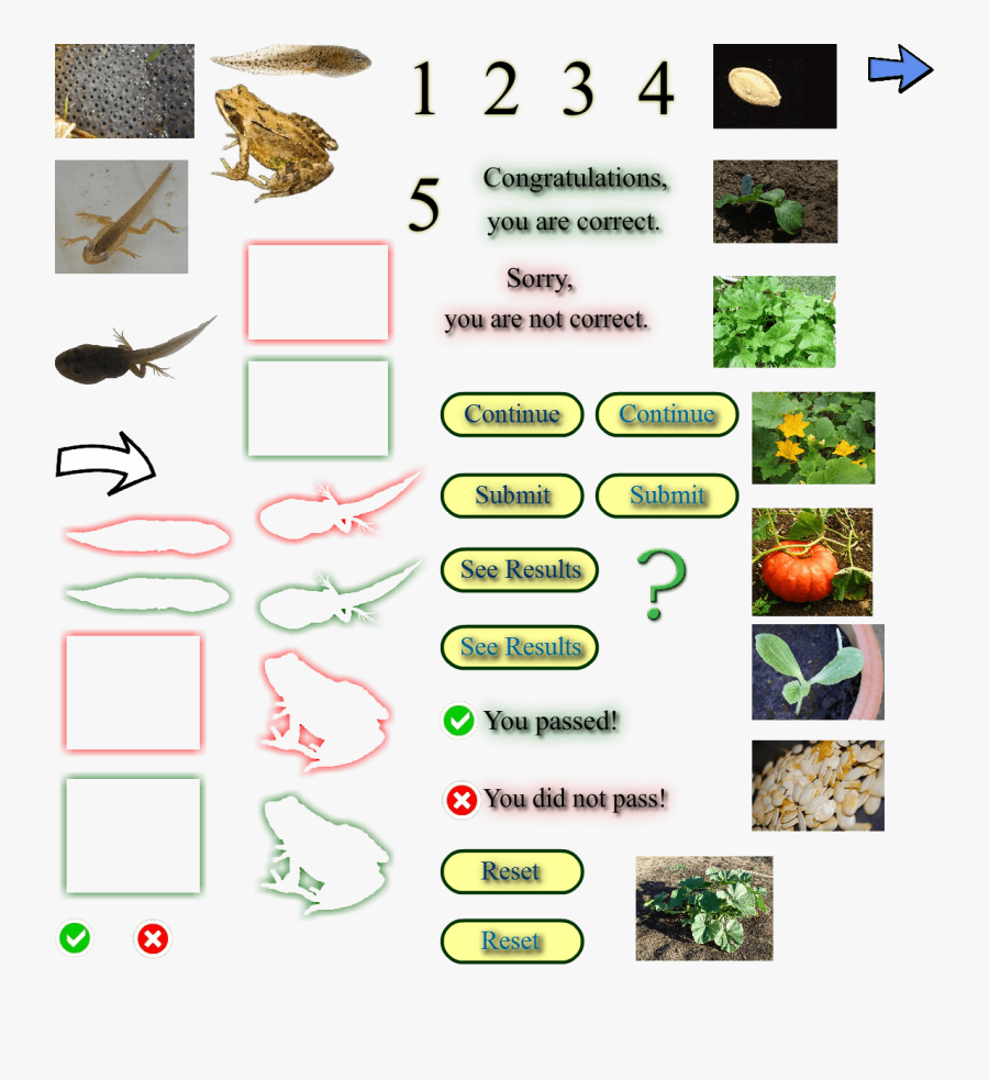 5 A Day, Transparent Clipart