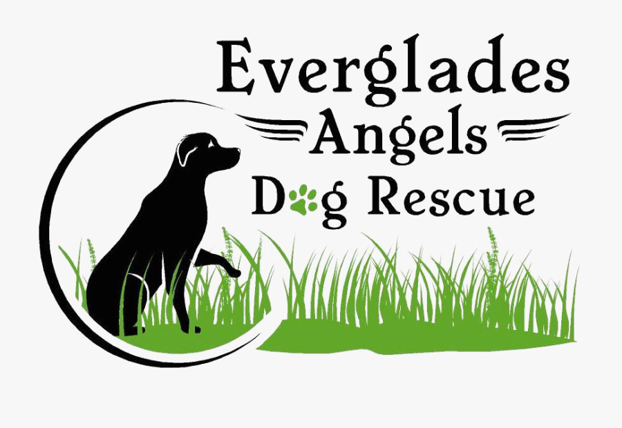 Logo - Dog Catches Something, Transparent Clipart