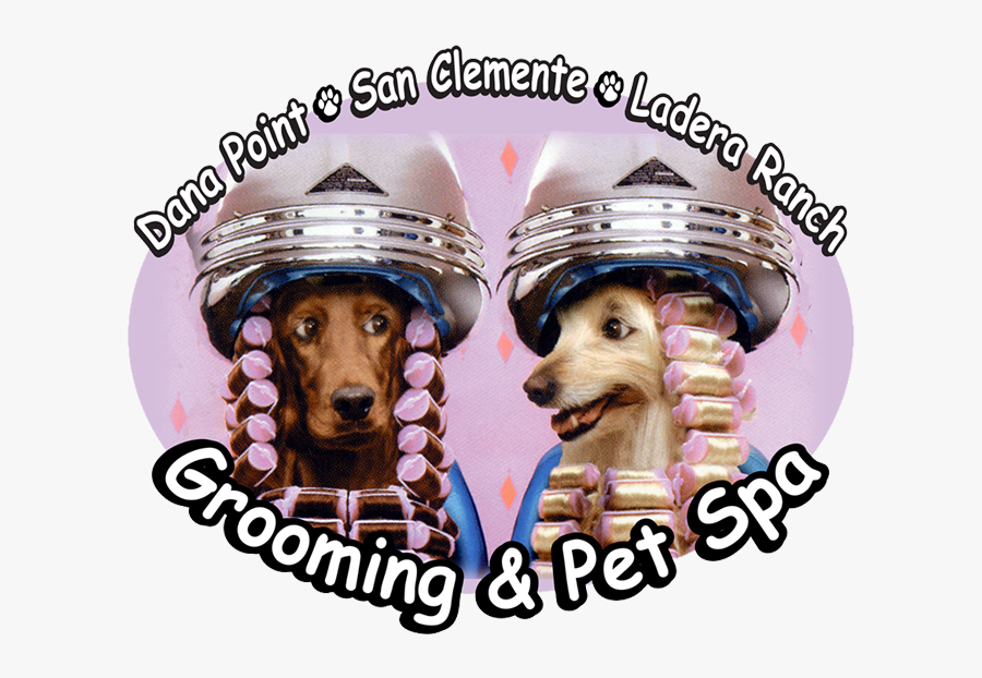 Companion Dog, Transparent Clipart