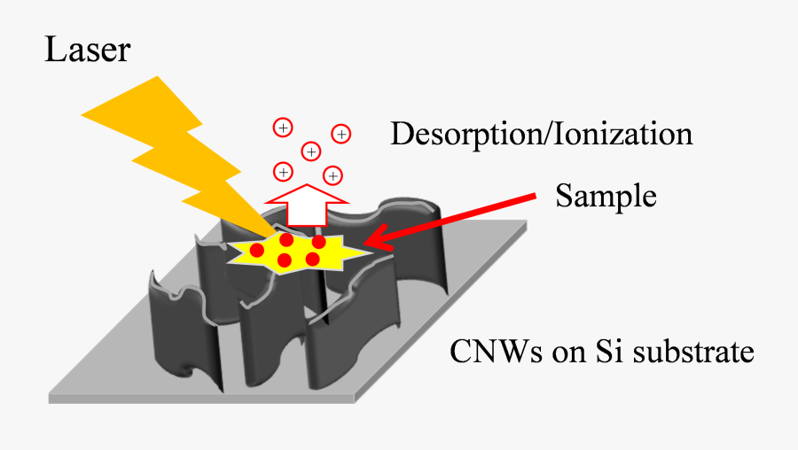 Graphic Design, Transparent Clipart