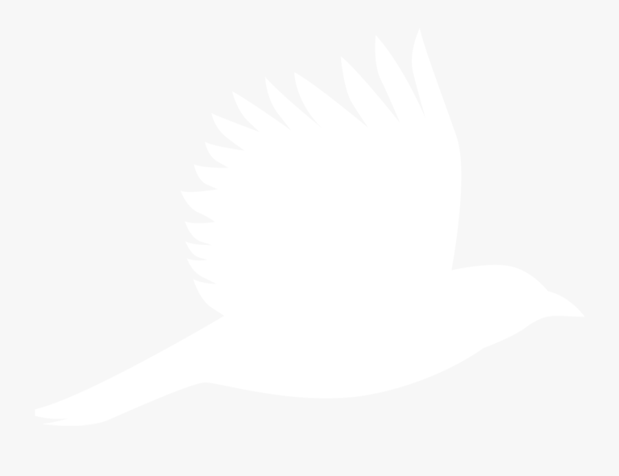 Immigration Dna Test - Illustration, Transparent Clipart