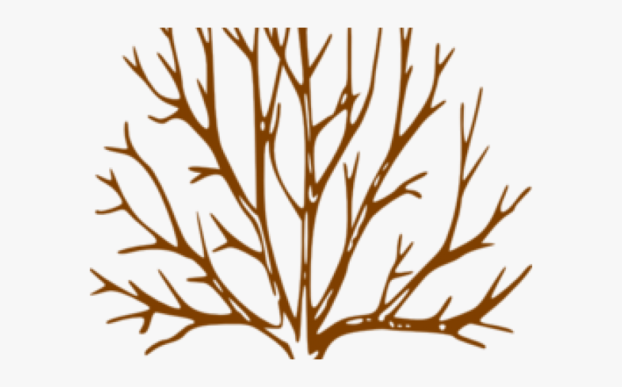 Brown Tree Cliparts - Tree Drawing With Branches, Transparent Clipart