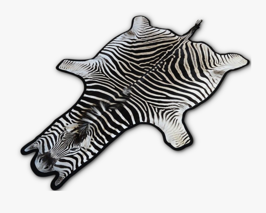 Marine Invertebrates, Transparent Clipart