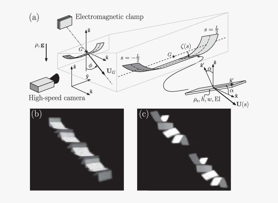 Hd Schematic Of The - Stairs, Transparent Clipart