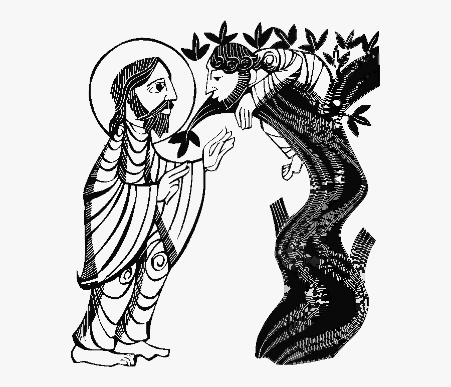 Zacchaeus Black And White, Transparent Clipart