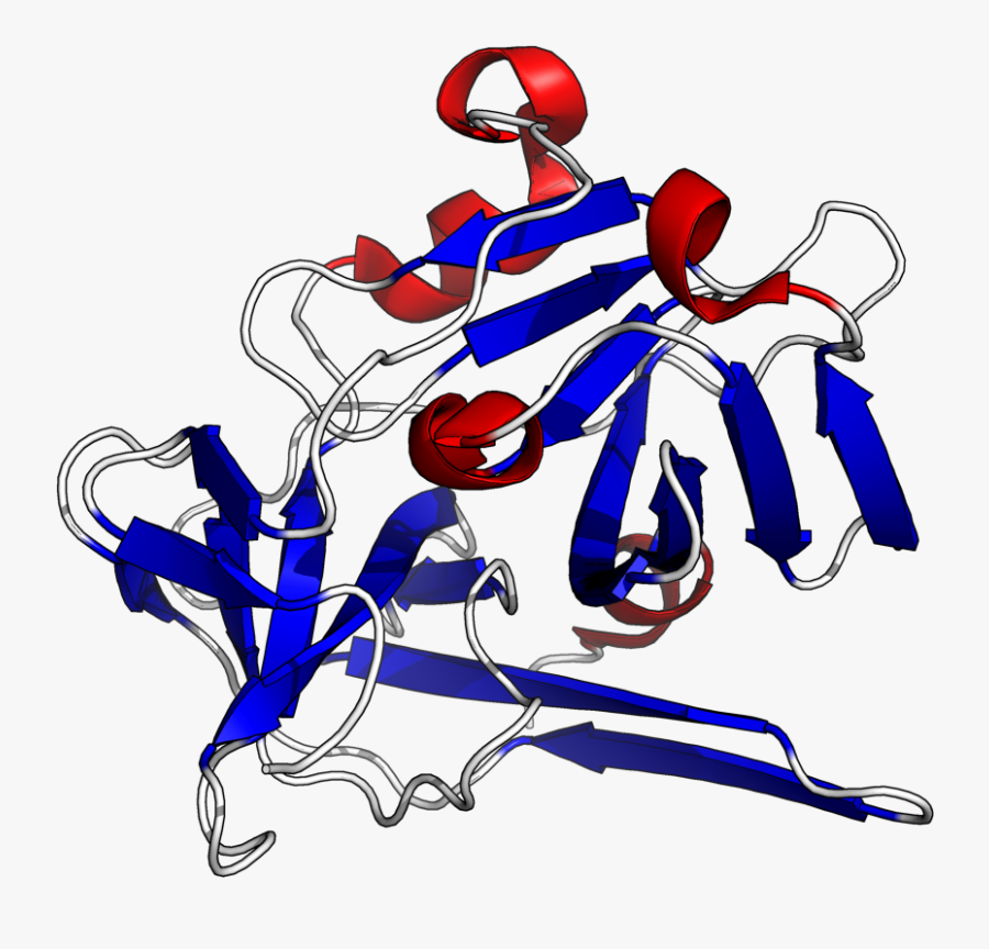 Tev Sec Struc - Illustration, Transparent Clipart