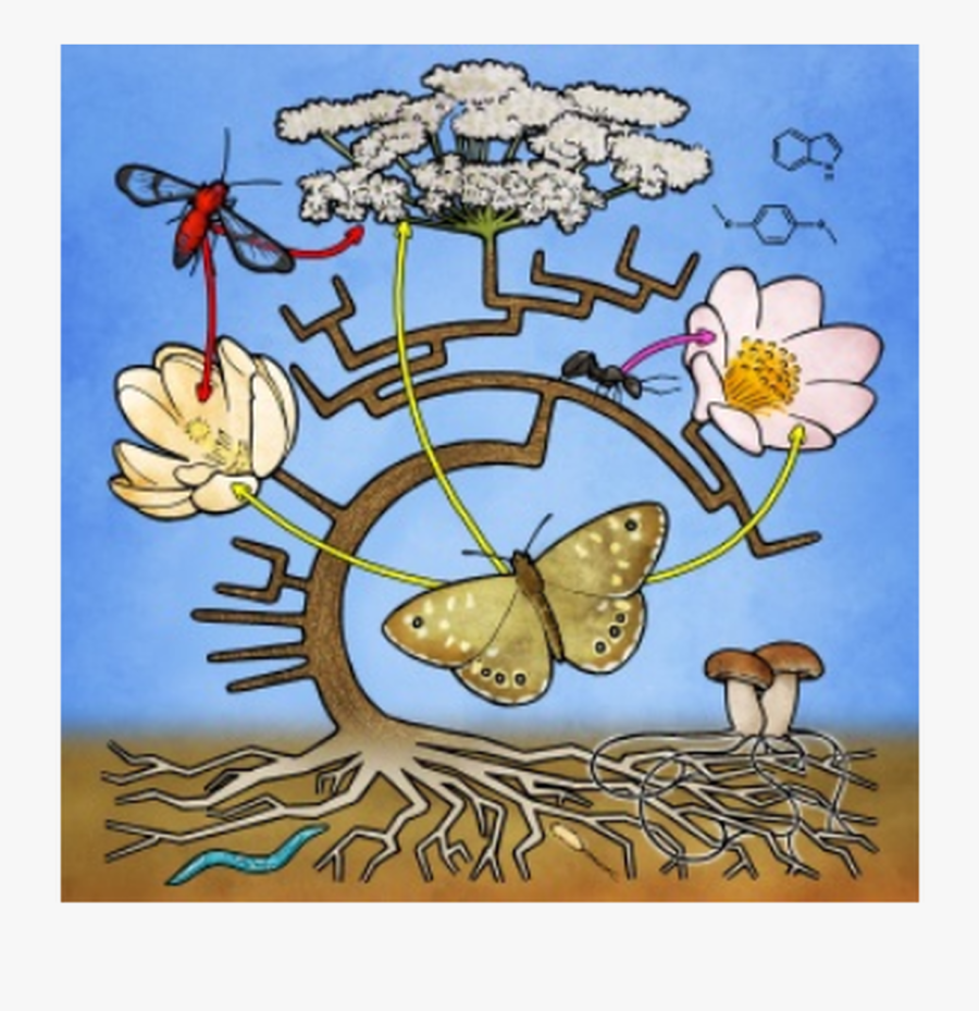 Cartoon, Transparent Clipart