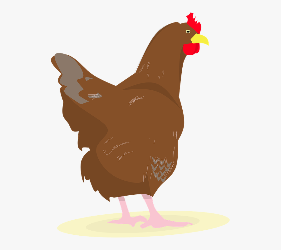 Free Photo Eggs Chicken Rooster Party Chick - Con Gà Vector, Transparent Clipart