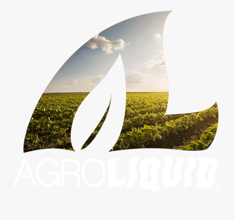 Grass, Transparent Clipart