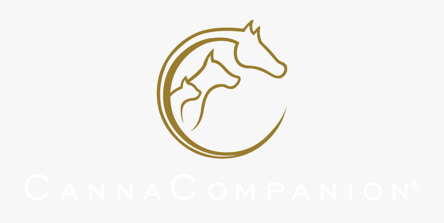 Mustang Horse , Transparent Cartoons - Mustang Horse, Transparent Clipart