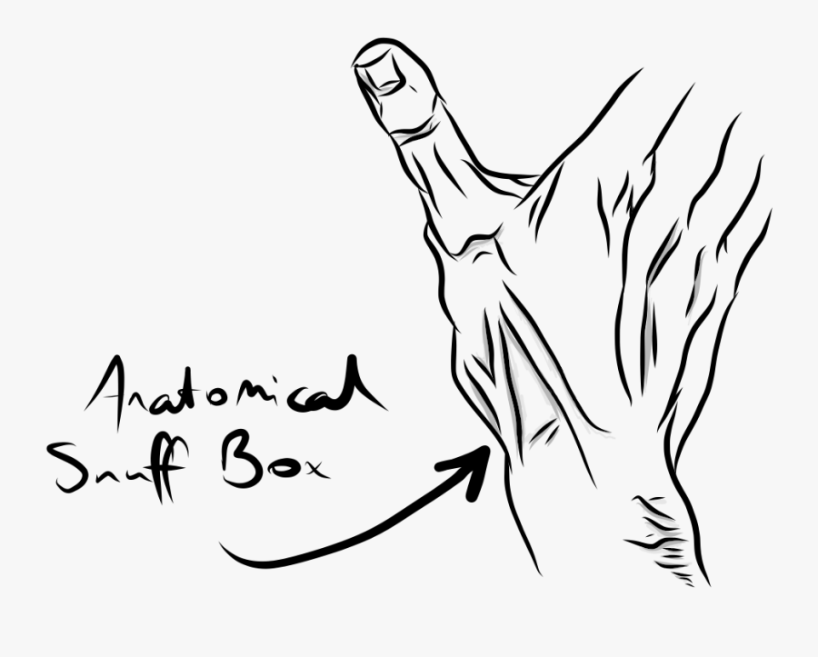 Line Art, Transparent Clipart