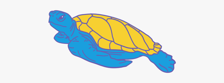 Turtle Bay - Sea Turtle, Transparent Clipart