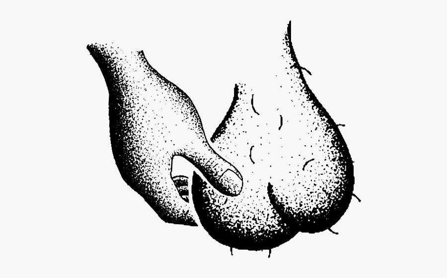 Movember Know Thy Nuts, Transparent Clipart