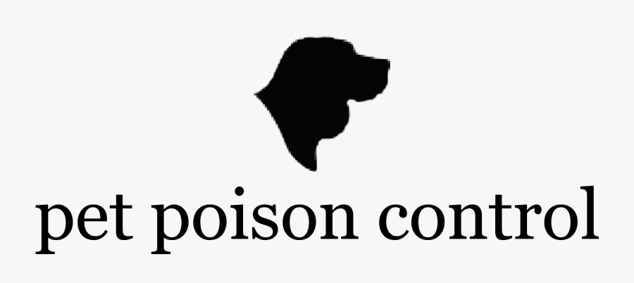 Love Quotation Feeling Life Preacher - Pet Poison Control, Transparent Clipart