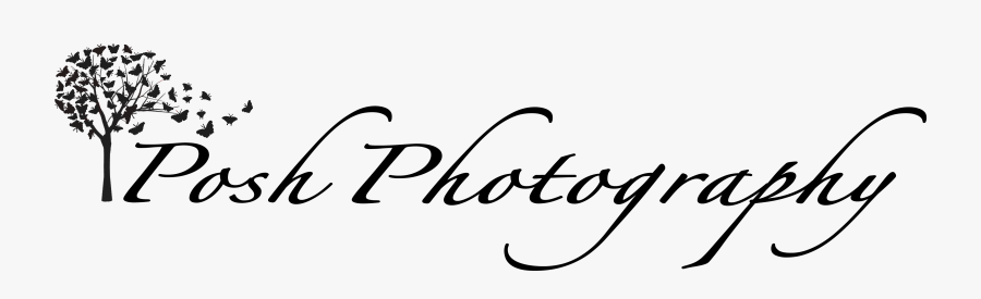 Calligraphy, Transparent Clipart