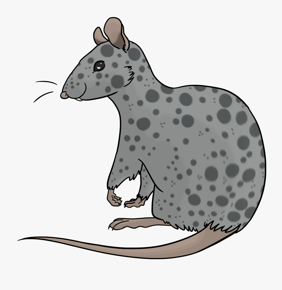 Portable Network Graphics, Transparent Clipart