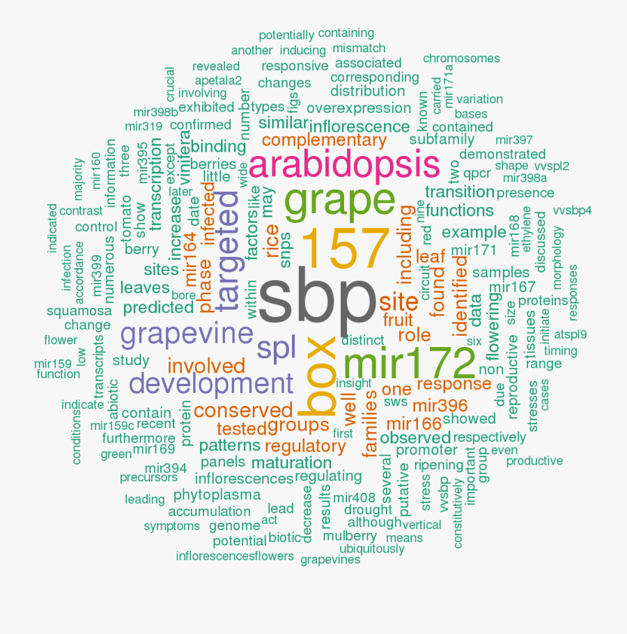 Transparent Sequence Clipart - Illustration, Transparent Clipart