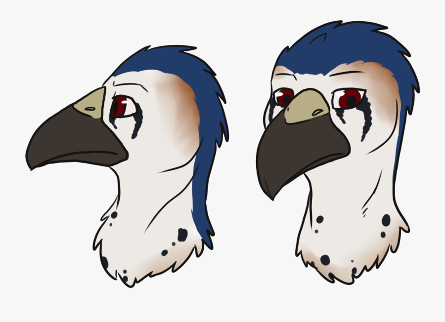 Perching Bird, Transparent Clipart