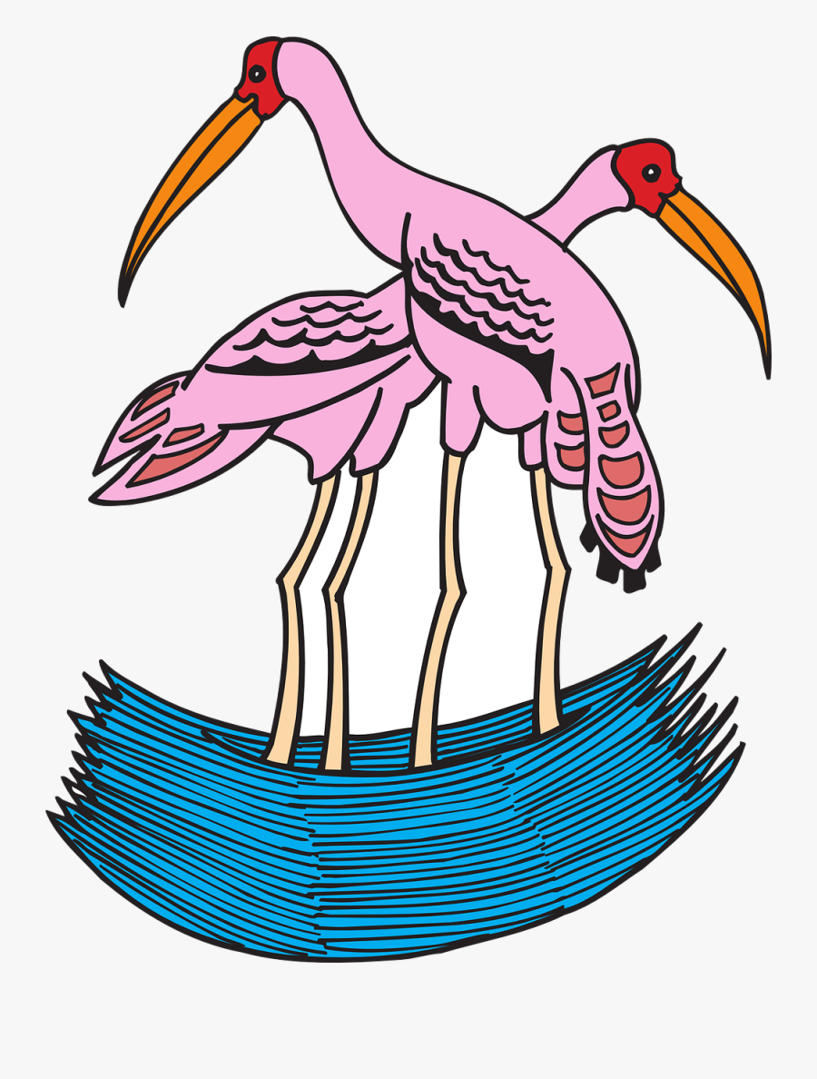 Storks Painted Water Free Photo Warna Gambar Burung Bangau Free Transparent Clipart Clipartkey