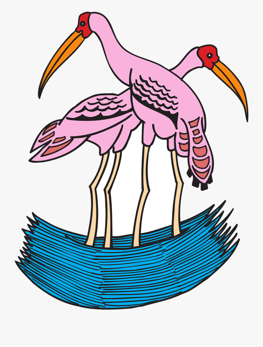 Storks Painted Water Free Photo - Warna Gambar Burung Bangau, Transparent Clipart