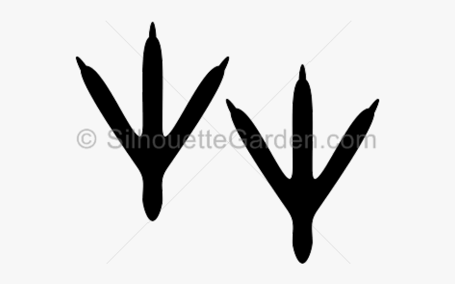 Feet Clipart Silhouette - Bird Feet Vector, Transparent Clipart