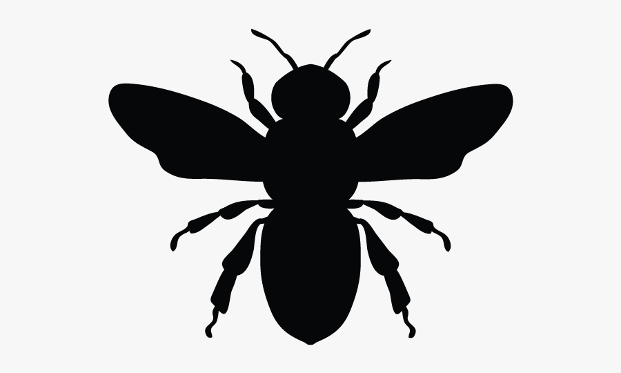 Honey Bee Vector Graphics European Dark Bee Illustration - Vector Bee Silhouette Svg, Transparent Clipart