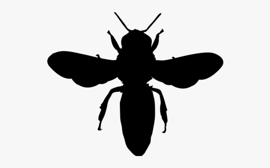 European Dark Bee Portable Network Graphics Vector - Png Silhouette Vector Bee Vector, Transparent Clipart