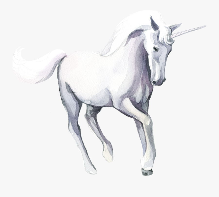 Unicorn Head Png - Unicorn, Transparent Clipart