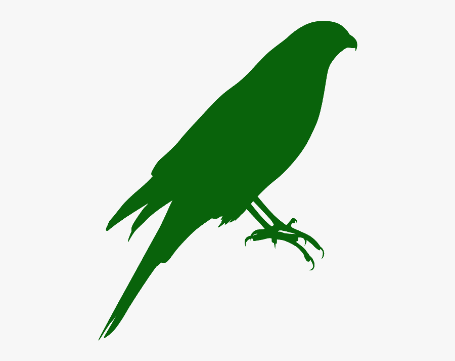 Parrot, Transparent Clipart