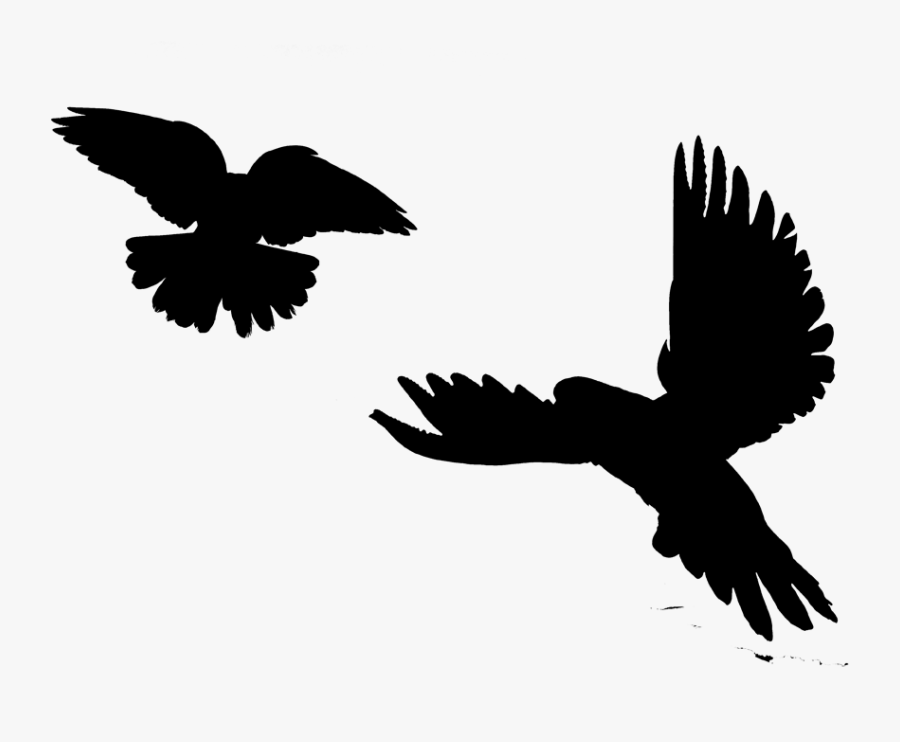 Image Silhouette Eagle Bird Clip Art - Red-tailed Hawk, Transparent Clipart