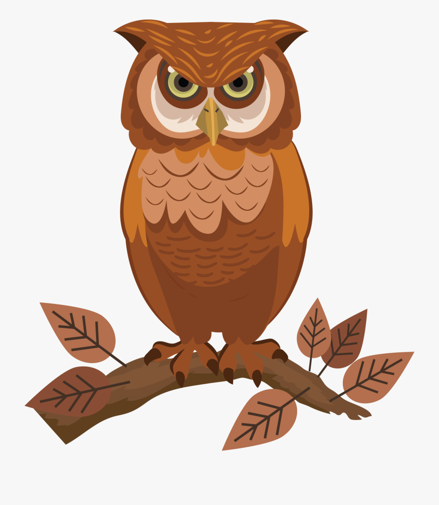 Cartoon Sketch Of Owl, Transparent Clipart