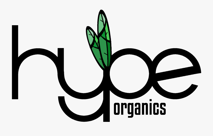 Graphic Design, Transparent Clipart