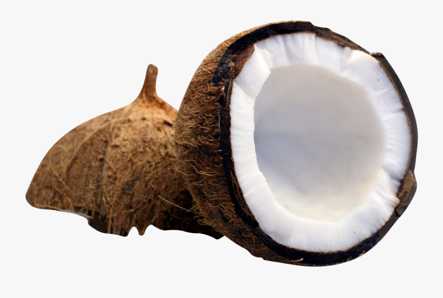 Half Cut Coconut - Coconut Half Png, Transparent Clipart