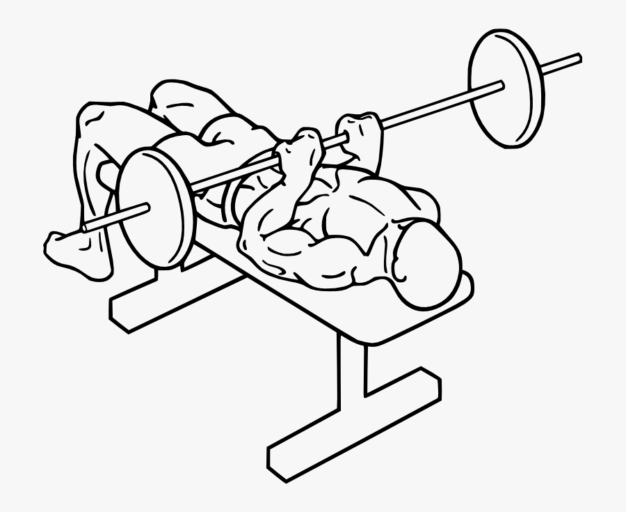 "
 Class="gallery-image - Close Grip Bench Press Diagram, Transparent Clipart