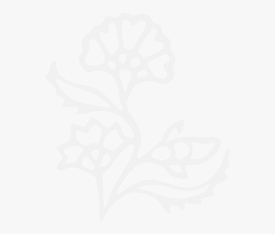 Sketch, Transparent Clipart