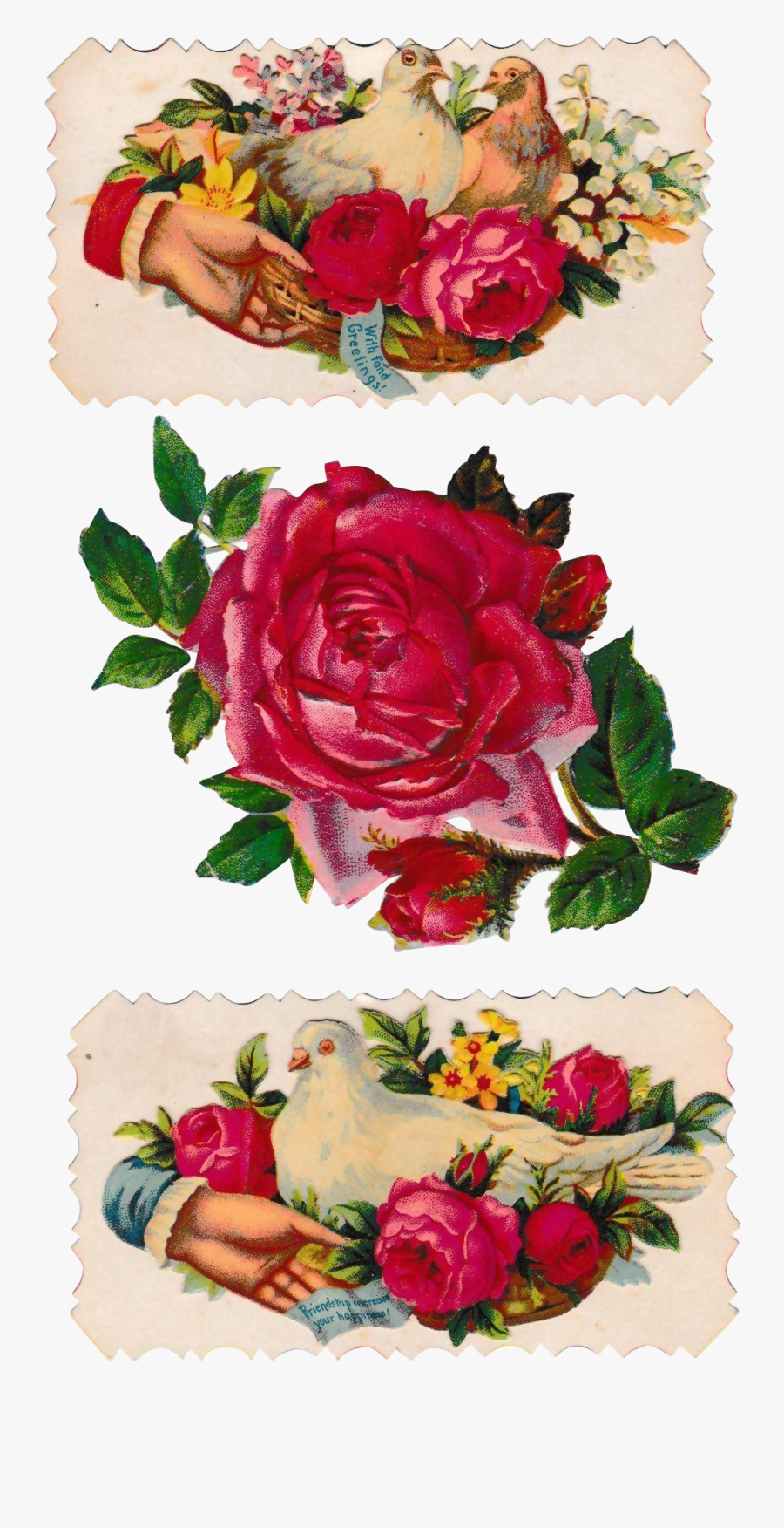 Clip Art Two Victorian Doves Calling - Garden Roses, Transparent Clipart