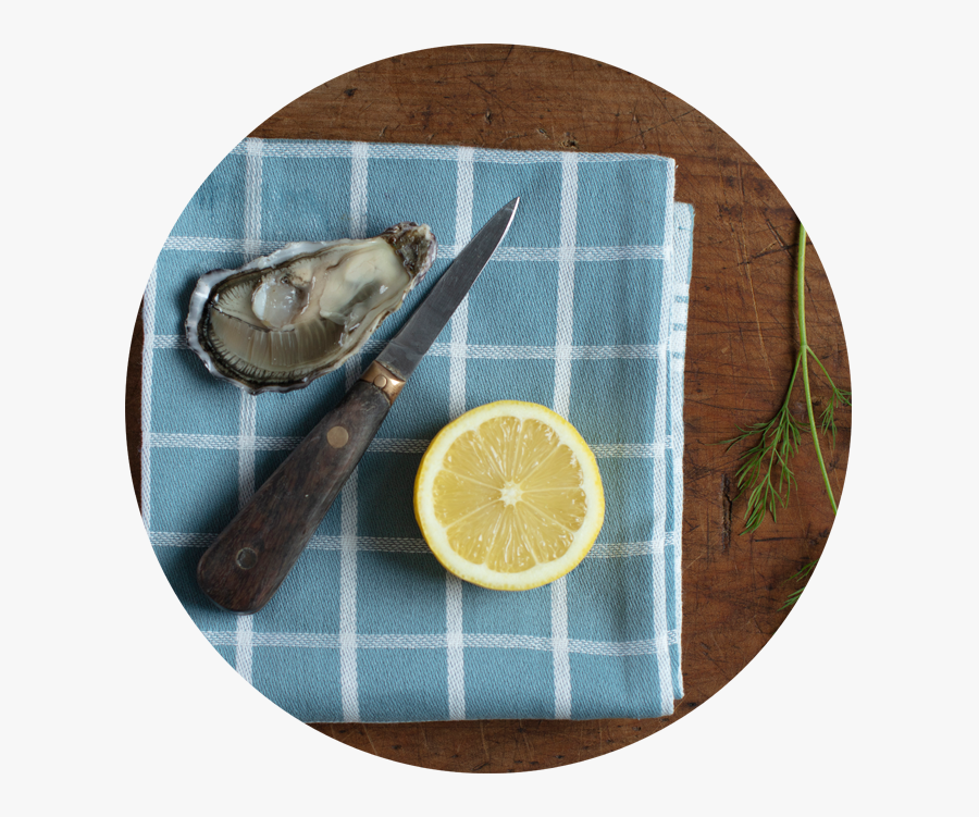 Transparent Yellow Brick Road Png - Lemon, Transparent Clipart