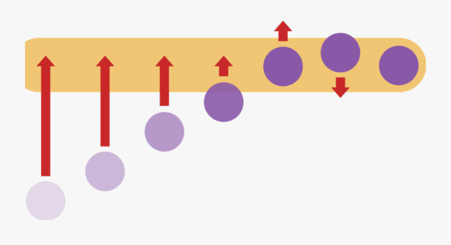 Circle, Transparent Clipart