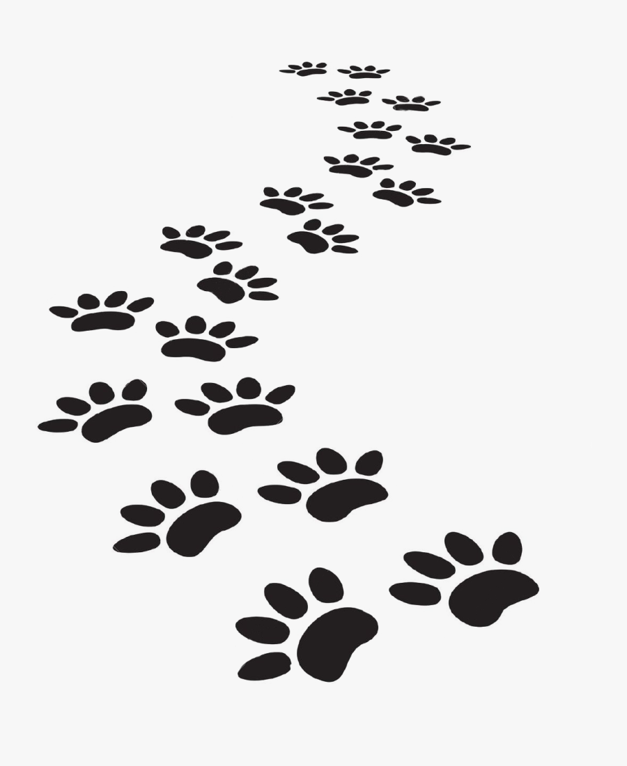 Transparent Paw Print Png Transparent - Paw Prints Vector Free, Transparent Clipart