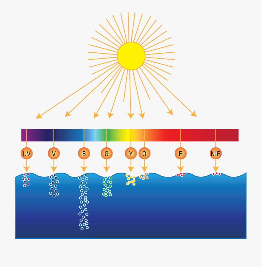 Sunlight Spectrum - Rumus Warna Led Aquascape, Transparent Clipart