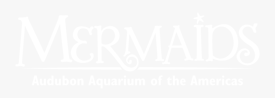 Calligraphy, Transparent Clipart