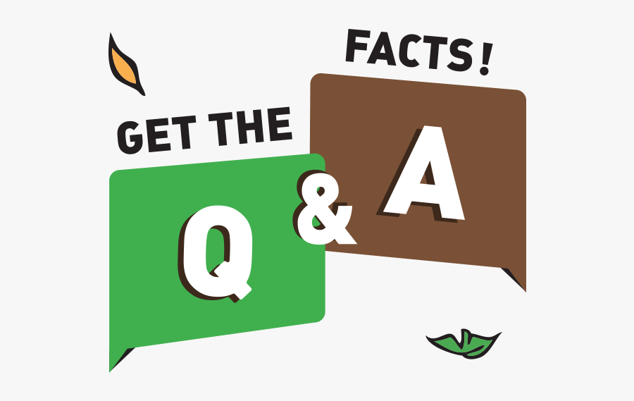 Graphic Design, Transparent Clipart