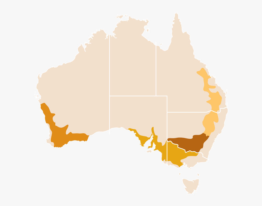 Macdonnell Ranges Map Australia, Transparent Clipart