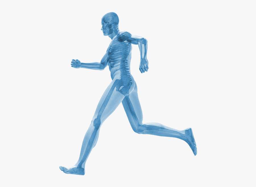 Sports Injuries - Sports Therapy, Transparent Clipart